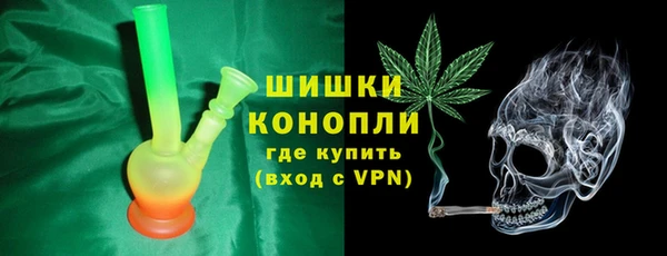 дурь Гусиноозёрск