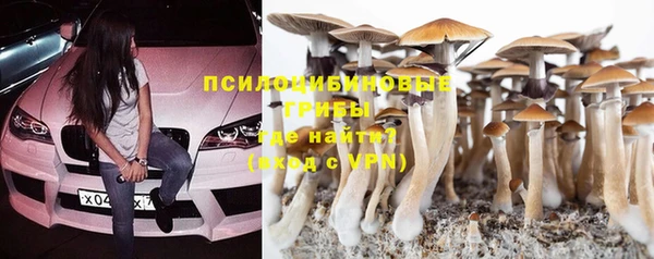 MDMA Premium VHQ Гусев