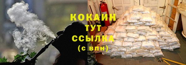 дурь Гусиноозёрск