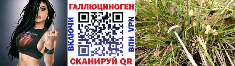 Купить закладки  Саяногорск  Псилоцибиновые грибы Cubensis 